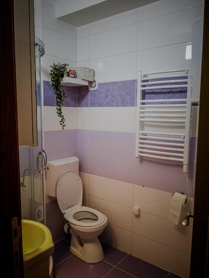 Star Apartman Brzece Kopaonik Brzeće Exterior foto